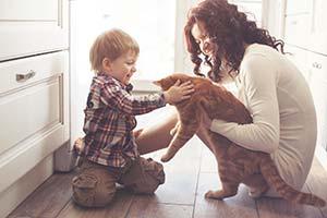 Mother with her baby playing with pet on the floor at the kitchen at home. Madre he hijo cargando un gato