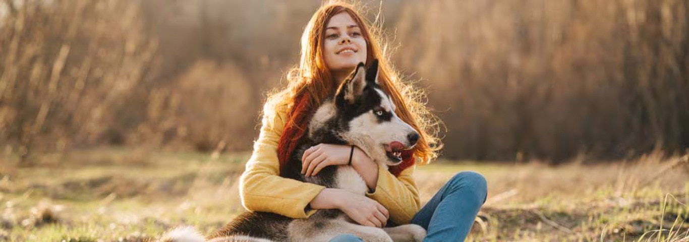 Fotografía de un perro husky siberiano