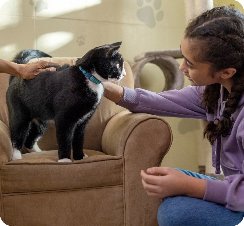 Gato con niña